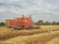 11-latek zginął pod kołami kombajnu. Kierowca usłyszy zarzuty