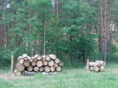 Rolnik ma drewno za płotem, ale musi je kupić. Izba chce zmiany prawa
