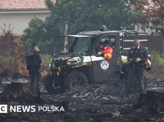 Pożary we Francji odsłoniły setki niewybuchów z II wojny światowej w jednej z miejscowości