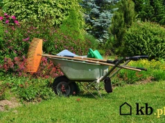 Ściółkowanie azjatyckie podbija ogrody. Rośliny rosną szybciej i lepiej plonują