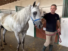 Michałów przed Pride of Poland. Ostatnie przygotowania do wielkiego święta koni arabskich