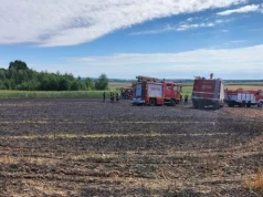 4 pożary i blisko 3,7 ha w ogniu. Czarna seria podczas żniw pod Zamościem