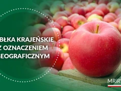 Kolejny polski produkt regionalny. Jabłka krajeńskie z unijną ochroną