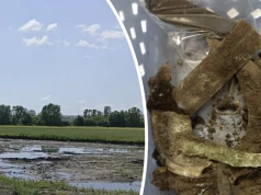 Skarb sprzed 3 tys. lat na czeskich bagnach. Wskazuje na pradawny rytuał