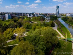 Rzeszowskie Bulwary zyskają nową zieleń. Blisko 30 tysięcy roślin pojawi się nad Wisłokiem