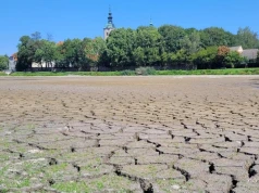 Wysychają stawy, rośnie ryzyko pożarów. Susza uderza nie tylko w rolników