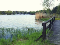 Morze środkowej Polski wysycha w oczach. Zostało wielkie bagno