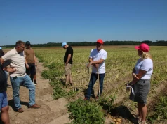 Północ Polski idealna dla sadzeniaków. Europlant rozwija ofertę dla przetwórstwa