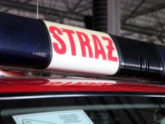 Dziecko pogryzione przez psa w powiecie brzeskim. Trzylatek trafił do szpitala