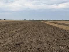 Gruber czy talerzówka? Sprawdzamy, co lepsze do uprawy