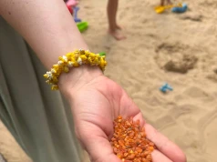 Upały nie odstraszają mieszkańców Wielunia. City Plaża oczami mieszkańców