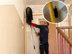 Nietoperz na klatce schodowej w Świdniku. Interweniowała Straż Miejska