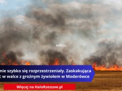 Płomienie szybko się rozprzestrzeniały. Zaskakująca pomoc w walce z groźnym żywiołem w Moderówce
