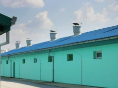 Stres cieplny w chlewni. Hodowcy często reagują za późno