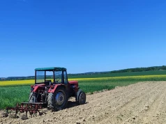 Raport: Rolnictwo i energetyka filarami bezpieczeństwa