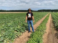 Przetwórnia dawała 3 zł/kg. Rolnik podjął decyzję: „Zapraszam na samozbiory”