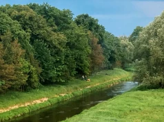 Obsceniczne zachowania nad Kaczawą w Legnicy. Policja zwiększa liczbę patroli