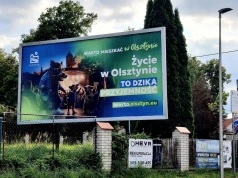 „Dzika przyjemność mieszkać w Olsztynie”. Ruszyła nowa forma promocji miasta