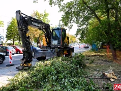 Trwa budowa nowych parkingów na terenie miasta. W ramach prac przewidziano wycinkę zieleni