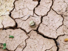 Susza hydrologiczna w Polsce i Europie. Nowe minima