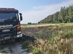 Pożar pola uprawnego w Aleksandrowie. Do akcji ruszyli strażacy