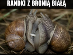 Ślimaczy Tinder ma tryb PvP