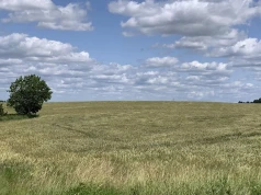 Działka przeszła na gminę. Czy właścicielowi należy się odszkodowanie?