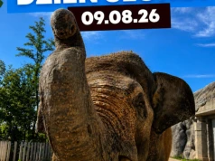 Dzień Słonia w Orientarium ZOO Łódź