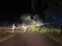 Interwencje straży w powiecie oleskim – zerwane dachy i powalone drzewa