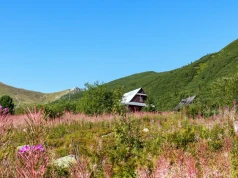 To zdjęcie stało się wakacyjnym hitem. Tysiące osób ruszają w Tatry o świcie