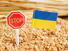 Ukraina zabiega o rozszerzenie kanałów solidarności UE dla eksportu zboża. Gdzie Kijów upchnie swoje ziarno?
