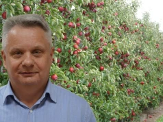 Polskie jabłka dostały unijną ochronę. Mają trafić do segmentu premium
