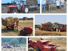 Żniwa pełne maszyn z różnych epok. Bizony, Ursusy i Dziki wciąż pracują