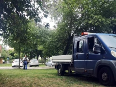 Kwietne łąki nie dla Konina. Kosiarki znów wygrały z naturą