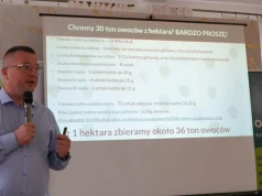 30 ton truskawek z hektara – czy taki wynik jest realny?