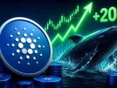 Kurs Cardano rośnie o ponad 20%, a wieloryby akumulują. Powrót do TOP 10?