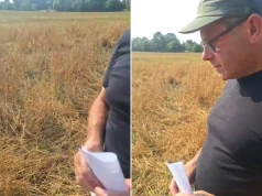 200 zł za szkody w 2,5 ha owsa? Rolnik grzmi: „To jest śmiech”