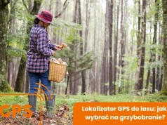 Lokalizator GPS do lasu: jaki wybrać na grzybobranie?