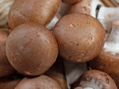 Naturalne paliwo dla mikrobioty. Ekspertka: wybieraj brązowe i jedz 100 g dziennie