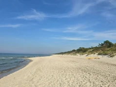 Masowe zatrucia nad polskim morzem. Wprowadzono kwarantannę