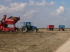 Rząd zmienia dopłaty dla rolników. Już wiem, kto na tym zyska