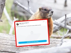 Nie ma kasy na badania, więc poszli na portal dla dorosłych. Tak naukowcy ratują swój projekt