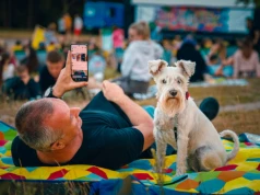 Psia Polówka na Retkini. Psy do adopcji i plenerowy seans filmowy