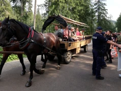 "To dręczenie zwierząt". Protest nad Morskim Okiem, a turyści ustawiają się w kolejce