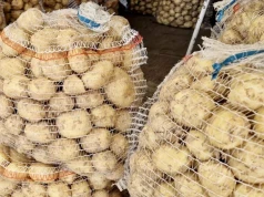 Ukraina buduje największy zakład przetwórstwa ziemniaków. Ma zastąpić import