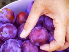 Ten niepozorny owoc to skarbnica antyoksydantów. Wspierają jelita i serce