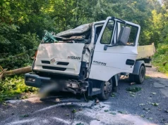 Drzewo zgniotło kabinę dostawczego Nissana. Ranny kierowca trafił do szpitala