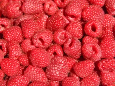 Jedz, aby odbudować jelita. Gastroenterolog: jak cukierki, a takie zdrowe