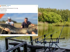 Wędkarz złowił ogromnego suma w Holandii. Przekroczył "magiczną granicę"