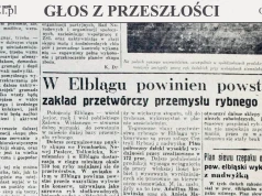 W Elblągu powinna powstać przede wszystkim wytwórnia konserw (Głos z przeszłości, odc. 260)